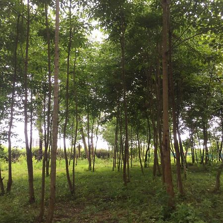 Hotel Kistrik กูเดาทา ภายนอก รูปภาพ