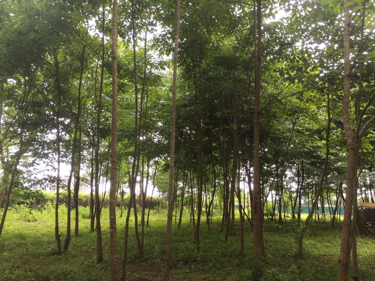 Hotel Kistrik กูเดาทา ภายนอก รูปภาพ